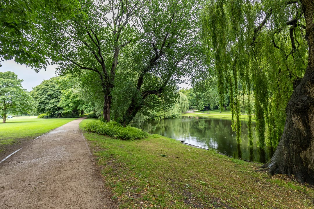 Foto 31 van Bergstraat 35