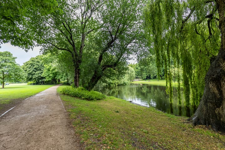 Foto 31 van Bergstraat 35