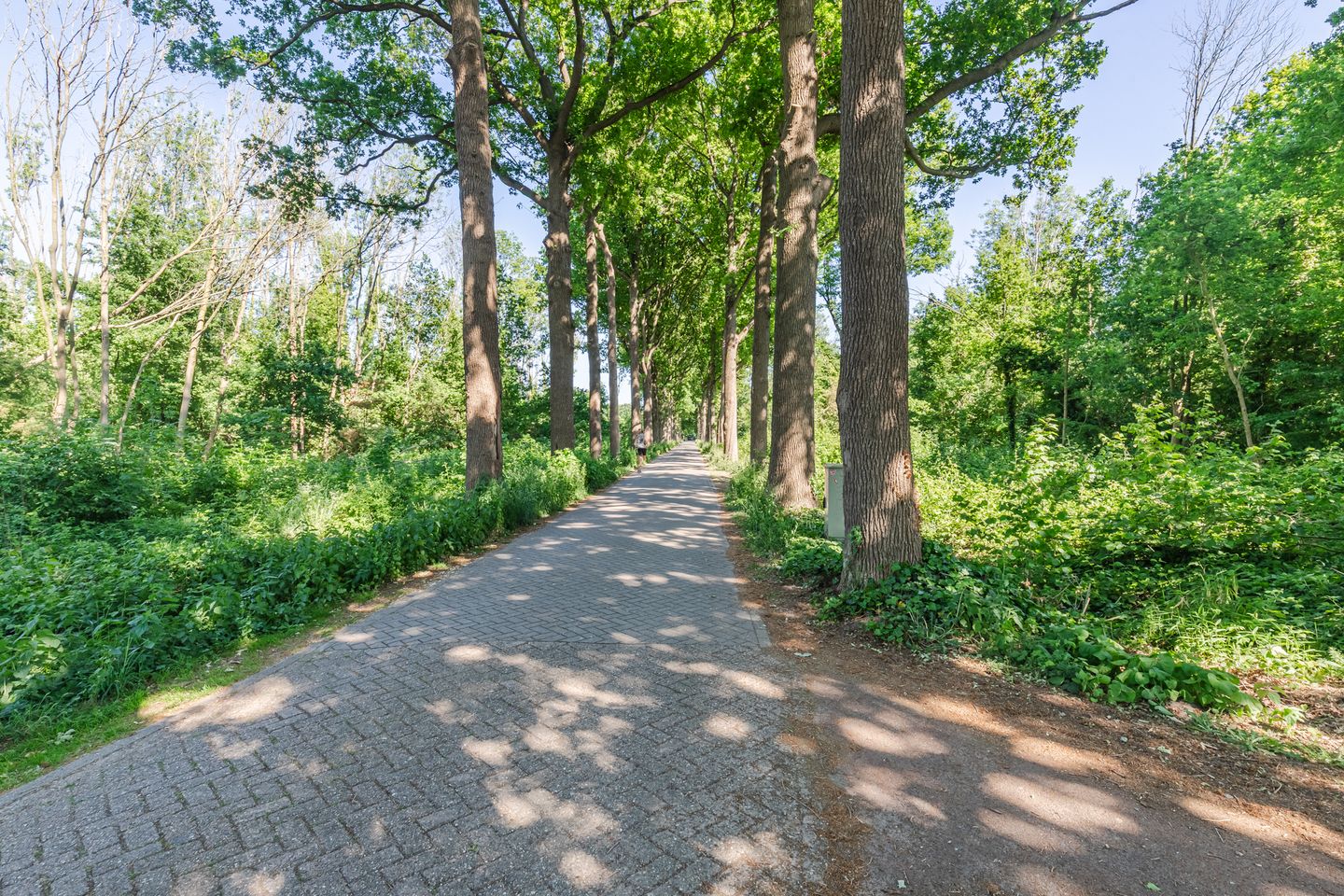 Photo 34 of Heksenwiellaan 195