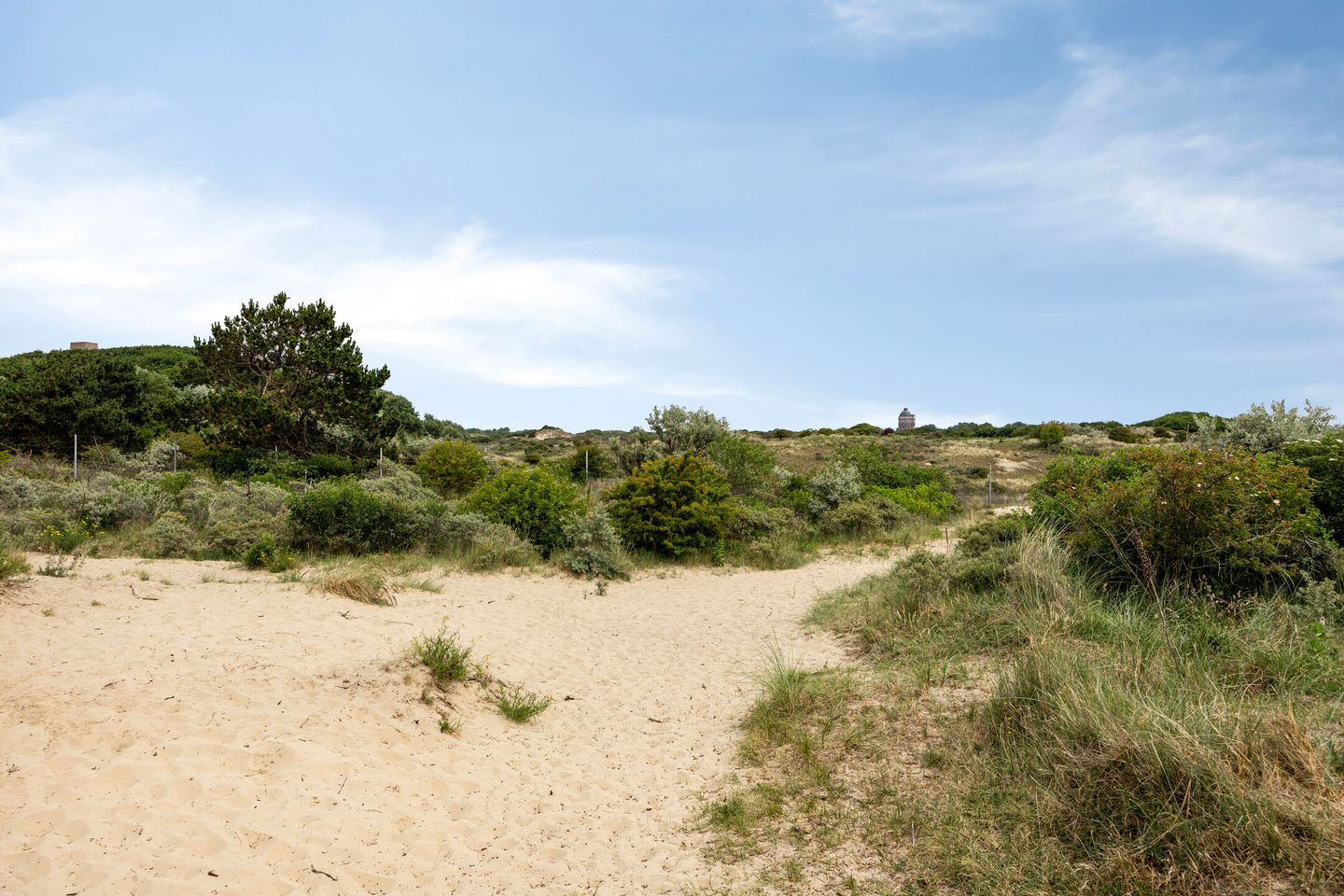 Foto 29 van Alkmaarsestraat 19