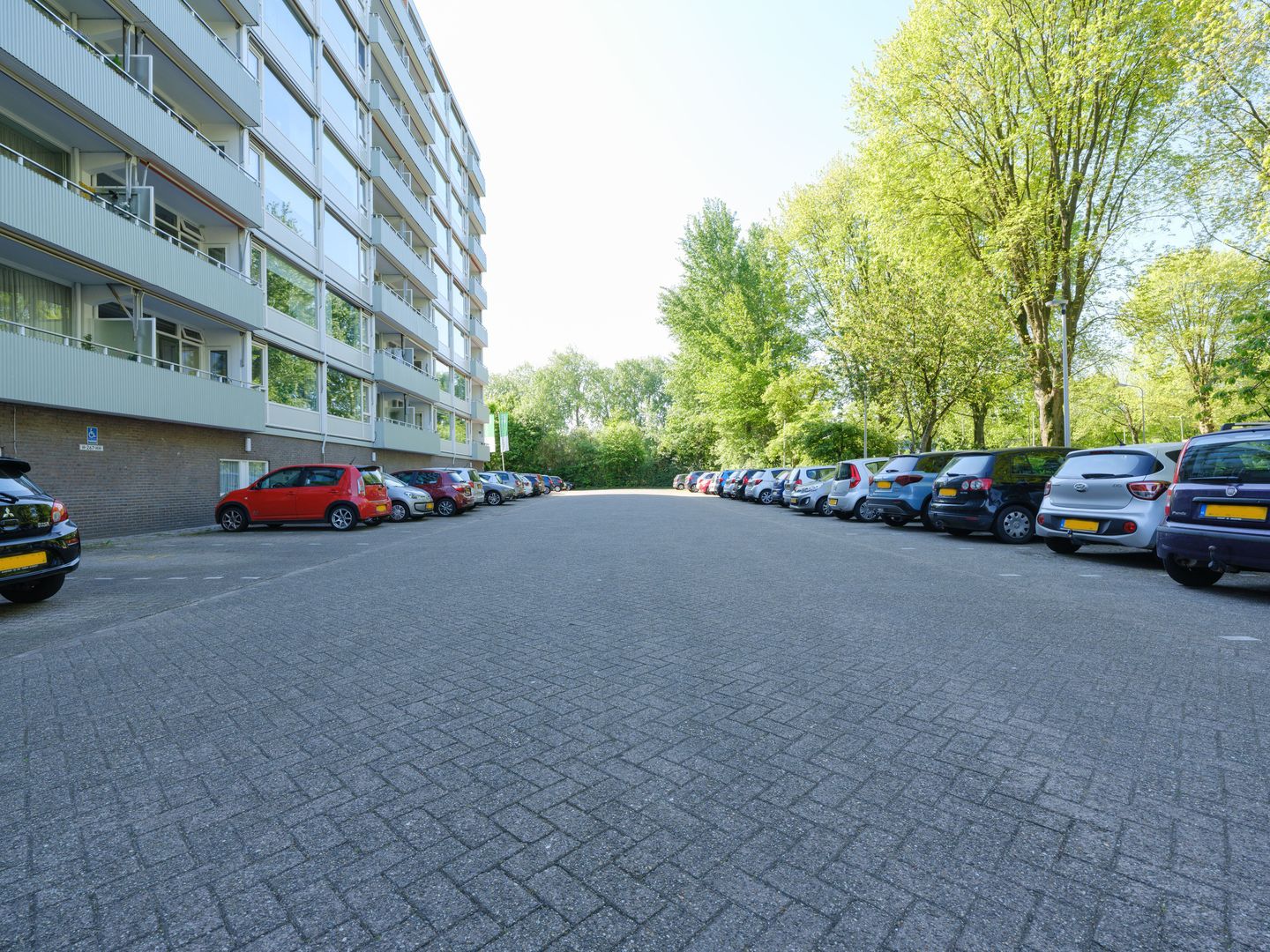 Photo 4 of Burgemeester Wuiteweg 297