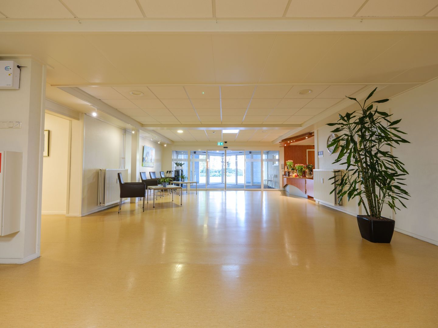 Photo 10 of Burgemeester Wuiteweg 297