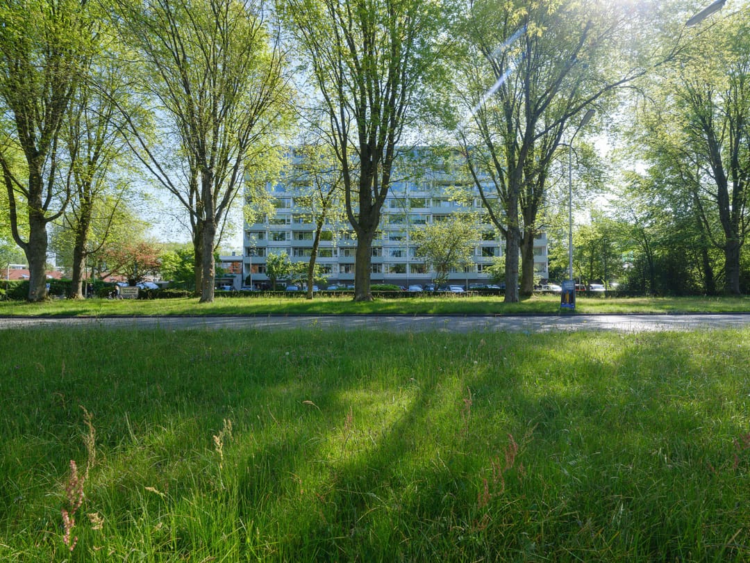 Photo 2 of Burgemeester Wuiteweg 297