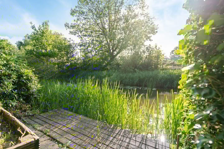 Foto 49 van Koterhoek 37