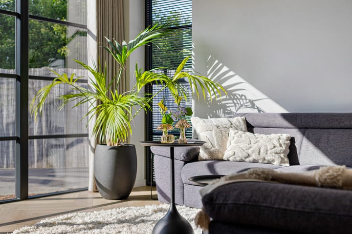 Foto 8 van Frankenstraat 20