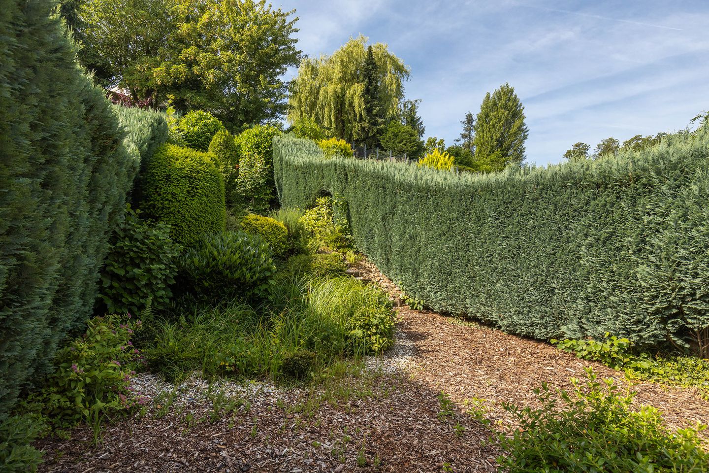 Foto 14 van Korversberg 44