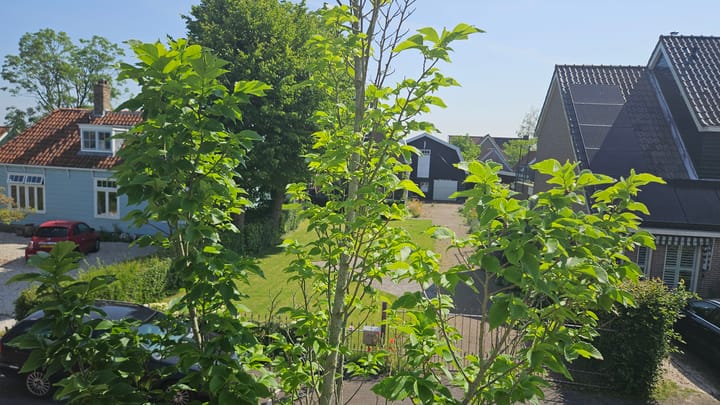 Foto 25 van J.J. Allanstraat 373