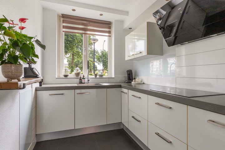 Foto 9 van Parelhoender 6