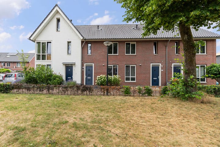 Foto 32 van Parelhoender 6