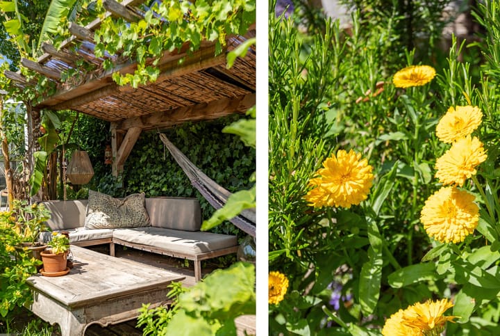 Foto 37 van Zonnehoek 62