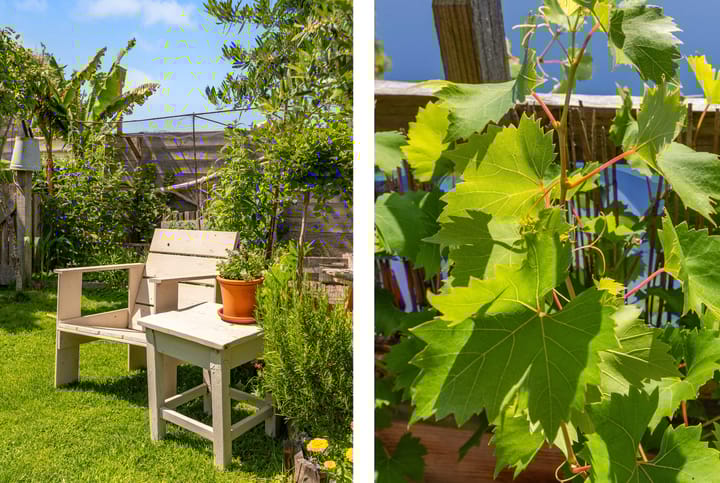 Foto 38 van Zonnehoek 62