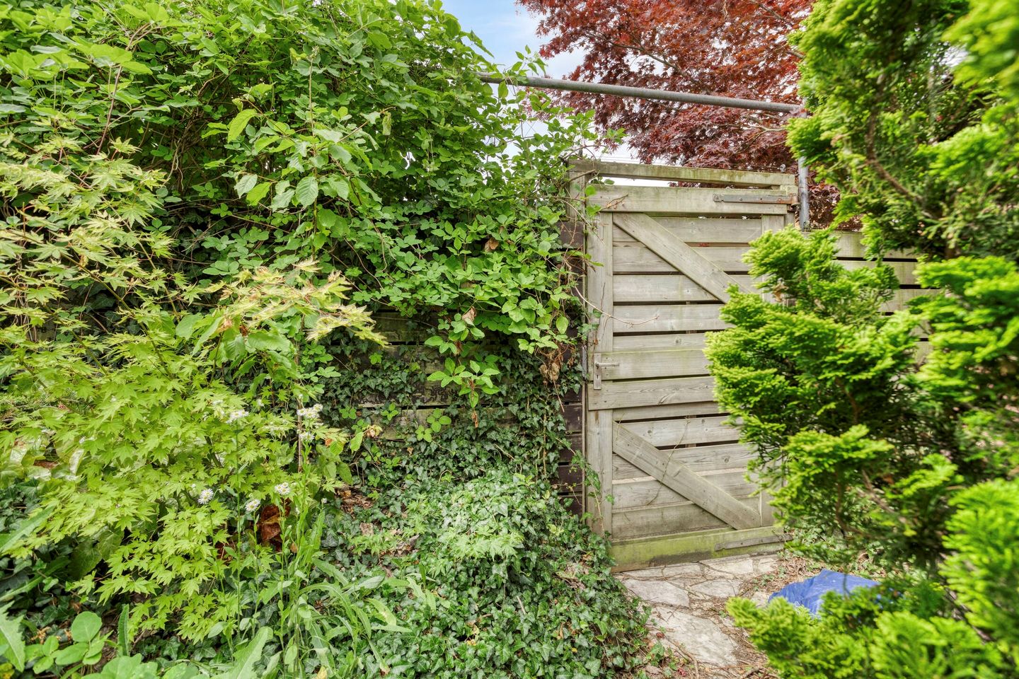 Photo 55 of Troikastraat 18