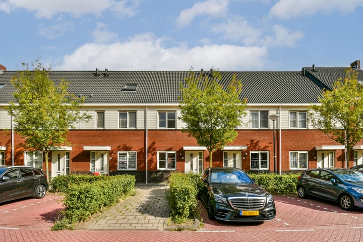 undefined main image