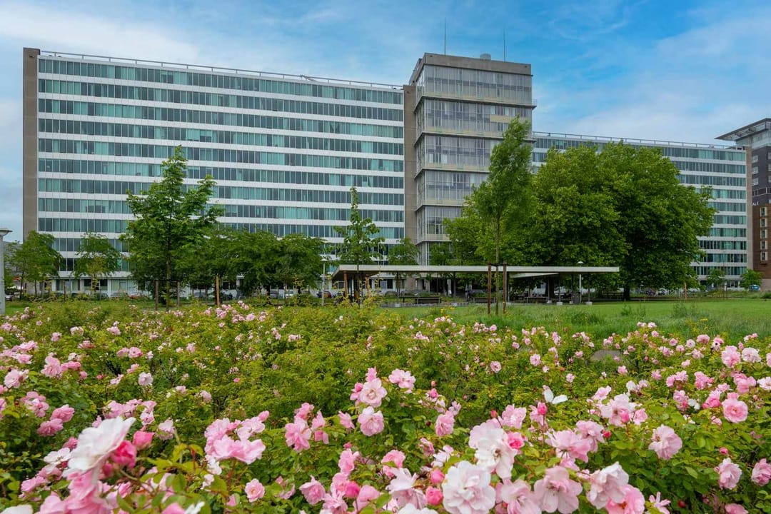Photo 1 of Bos en Lommerplantsoen 11-D