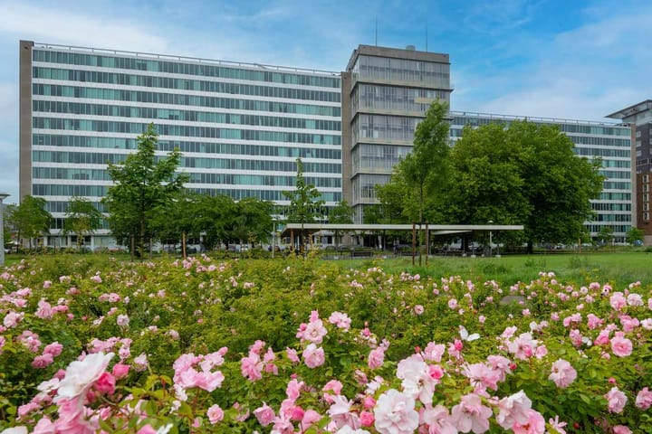 Foto 1 van Bos en Lommerplantsoen 11-D