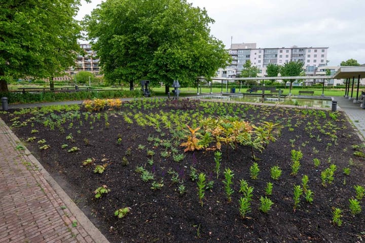 Foto 29 van Bos en Lommerplantsoen 11-D