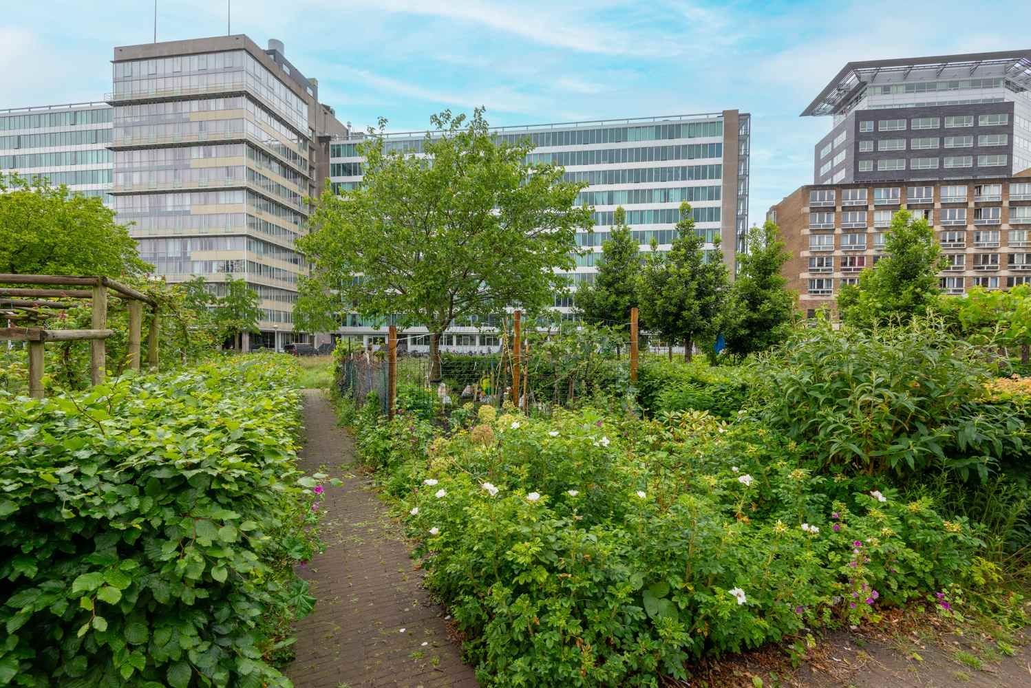 Photo 33 of Bos en Lommerplantsoen 11-D