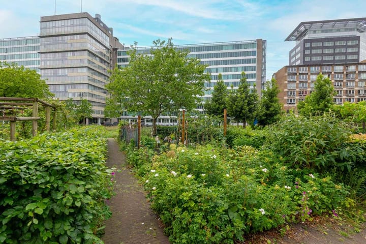 Foto 33 van Bos en Lommerplantsoen 11-D