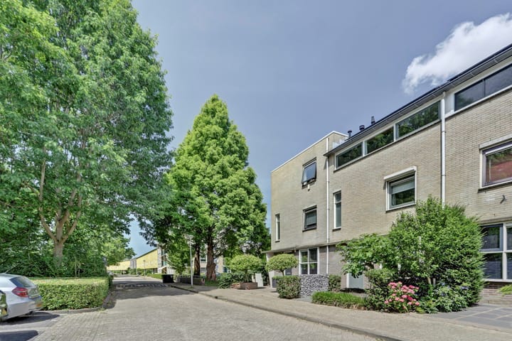 Foto 5 van Marathon 55