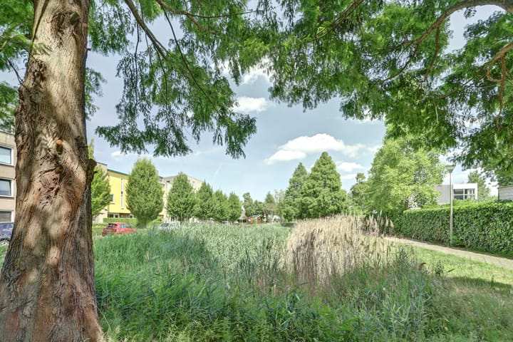 Foto 31 van Marathon 55