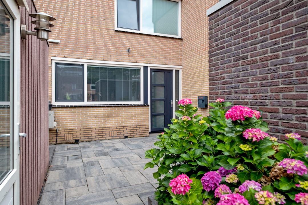 Foto 2 van Regulus 56