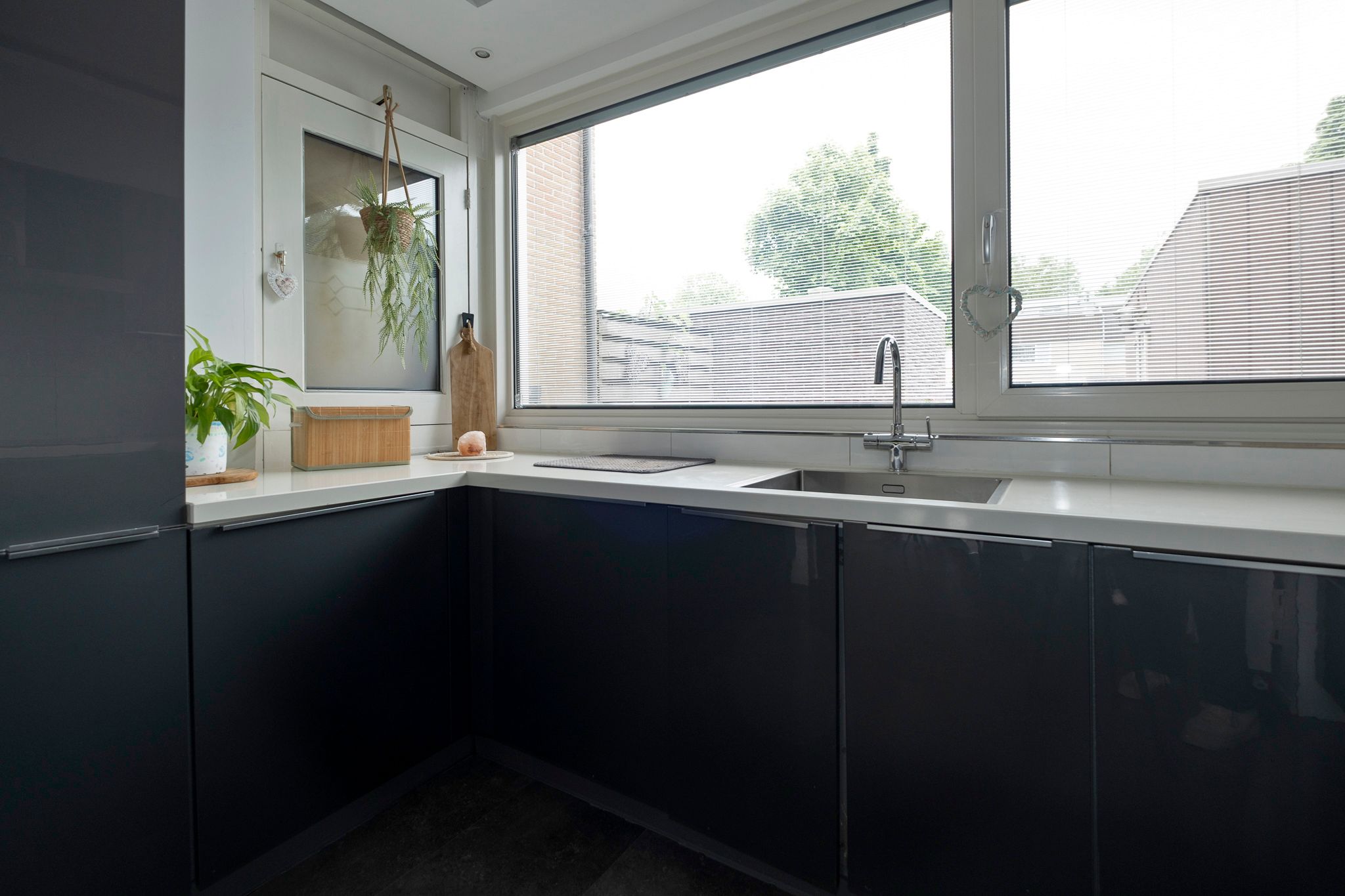 Foto 9 van Regulus 56