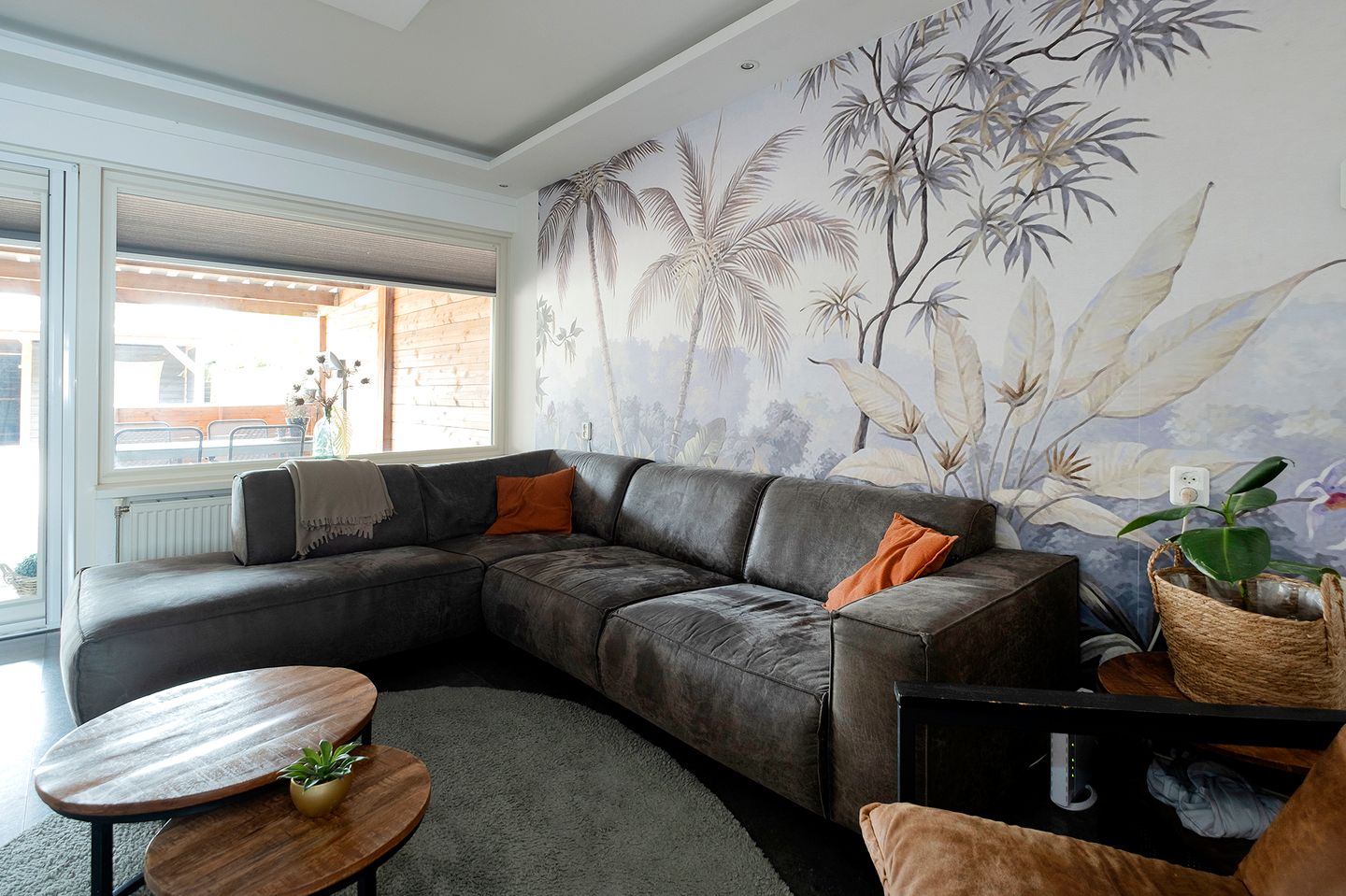 Foto 20 van Regulus 56