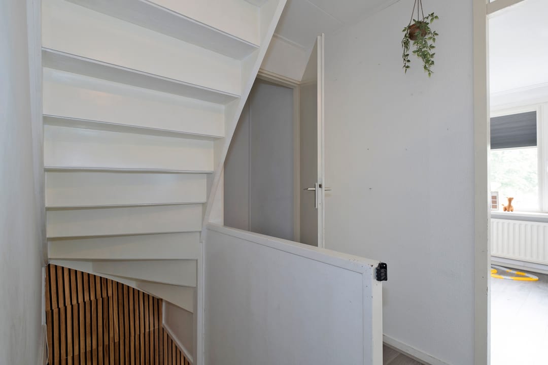 Foto 22 van Regulus 56