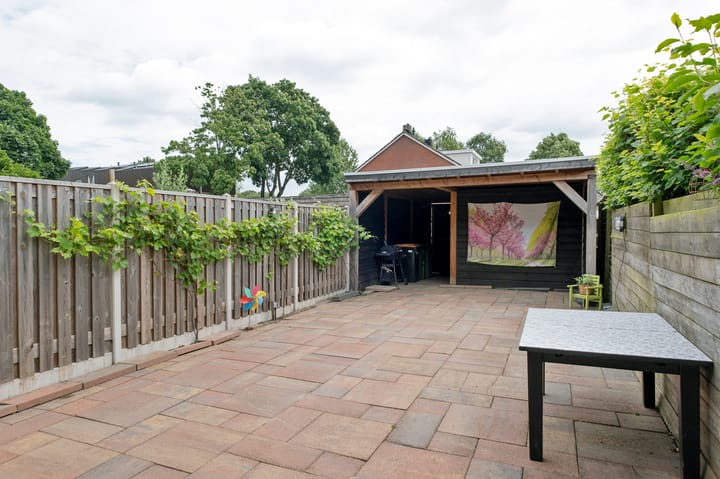 Foto 38 van Regulus 56