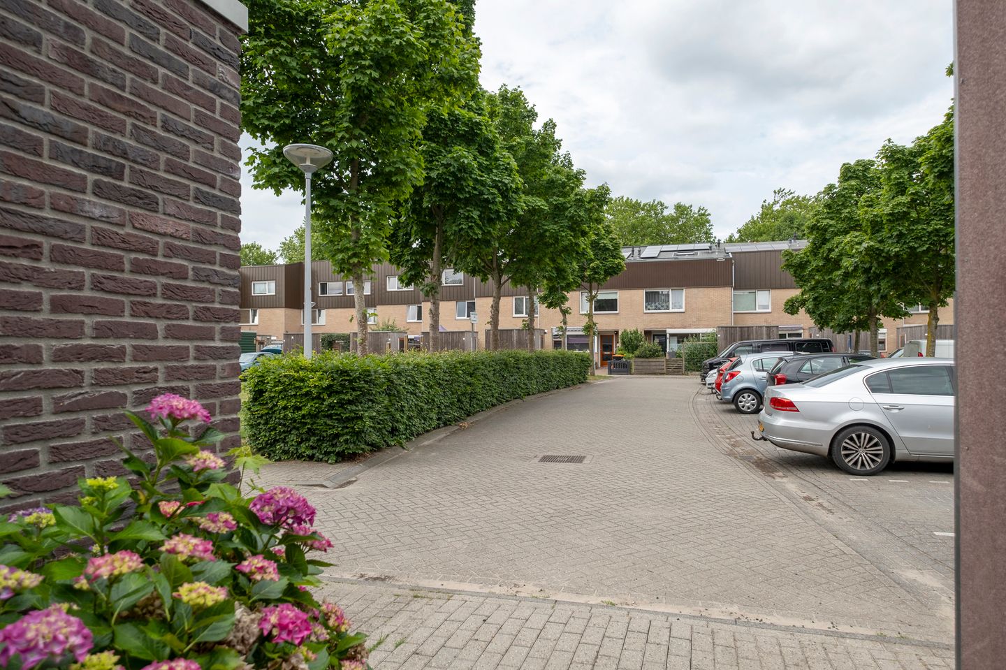 Foto 44 van Regulus 56