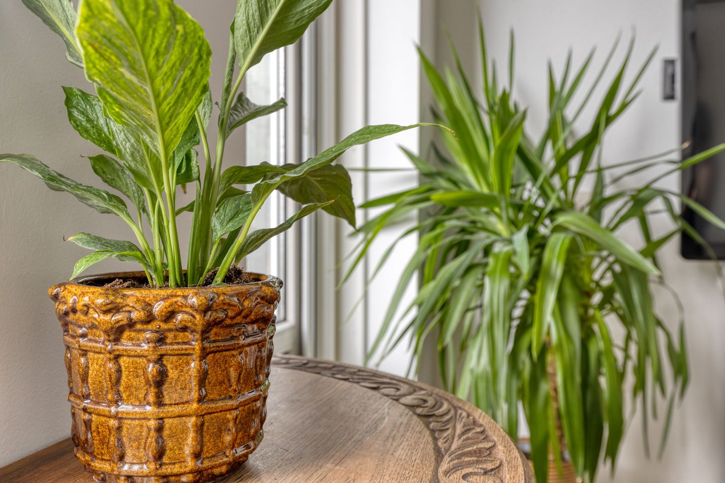 Photo 4 of Van Nijenrodeweg 164