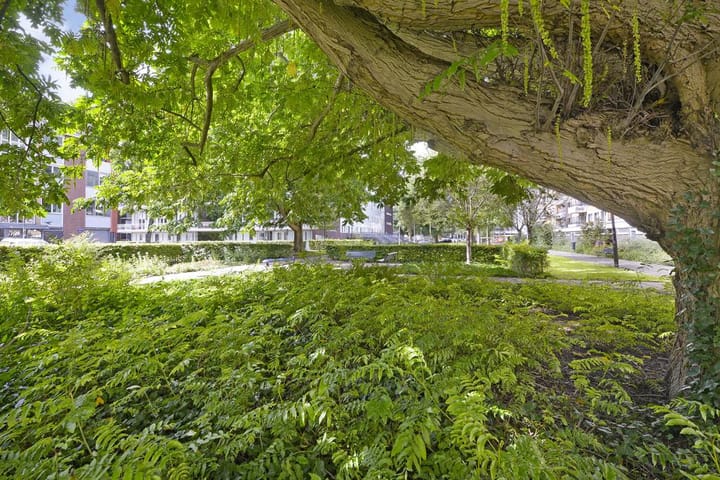 Foto 21 van Van Nijenrodeweg 164