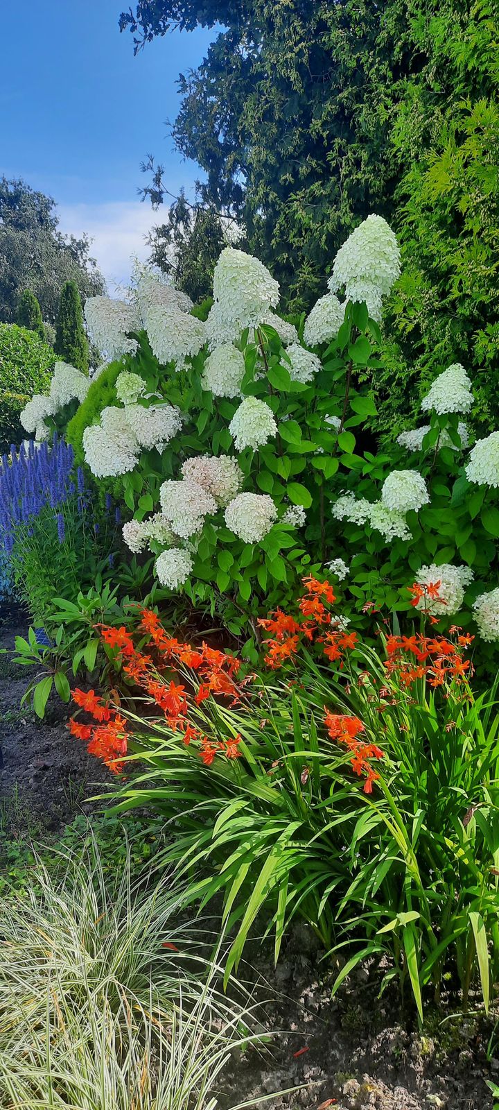 Foto 42 van Herenweg 10