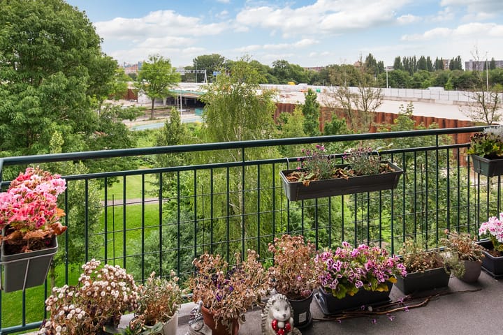 Foto 36 van Meander 1051