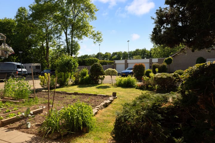 Foto 7 van van Duvenvoordestraat 26