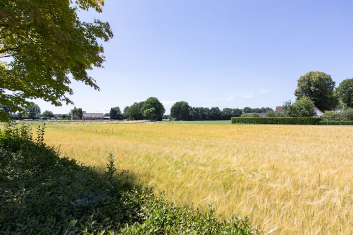 Foto 59 van Korenweg 11