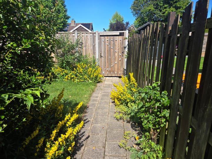 Photo 17 of De Wilgen 6