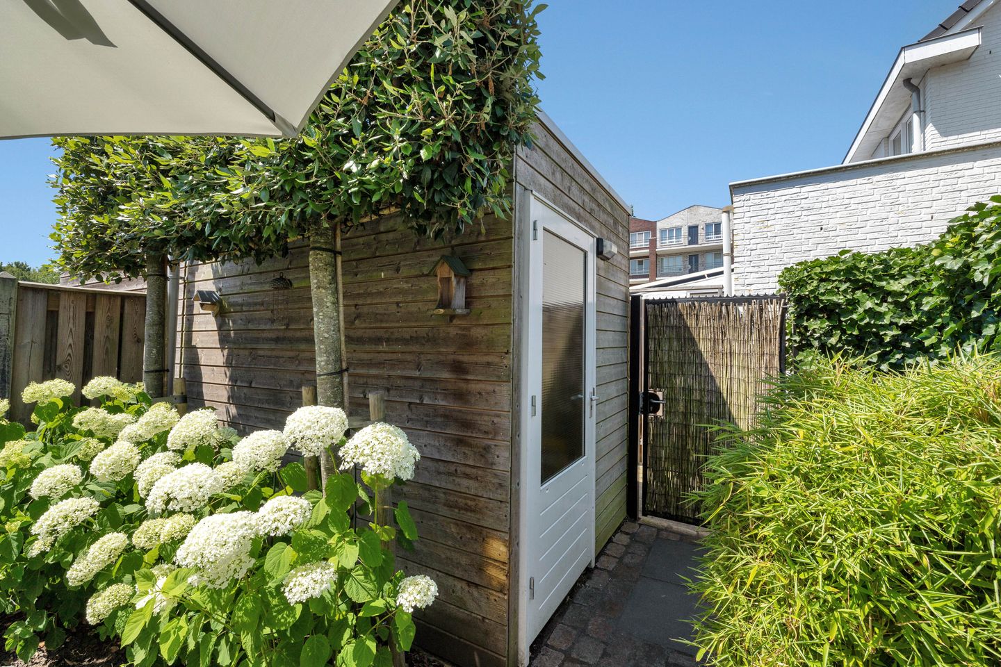 Foto 25 van Vierasser 31