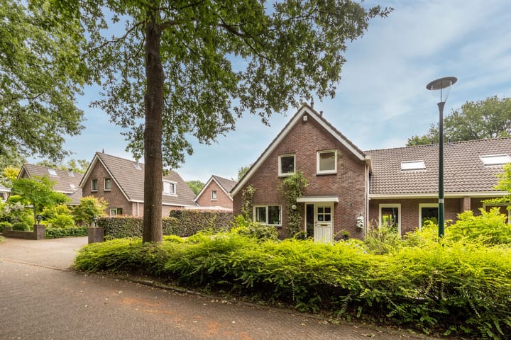 Foto 3 van Egeltjespad 7