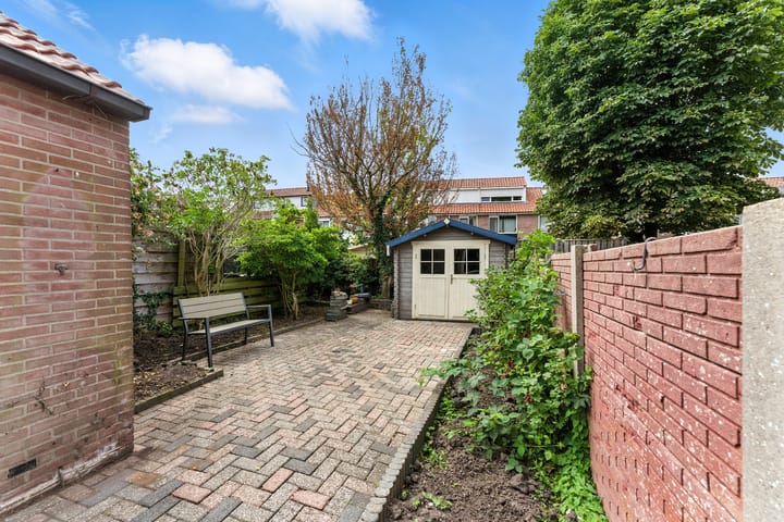 Foto 41 van Adama van Scheltemastraat 28