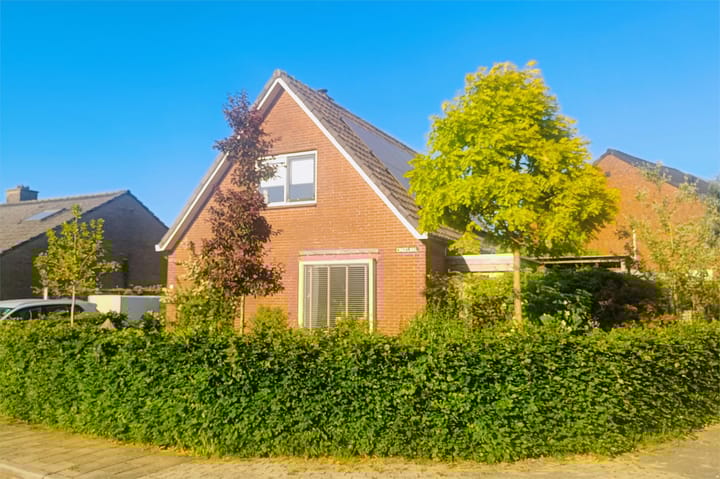 undefined main image