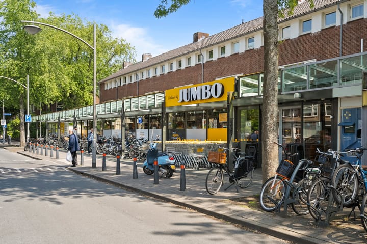 Foto 25 van Wirixstraat 53