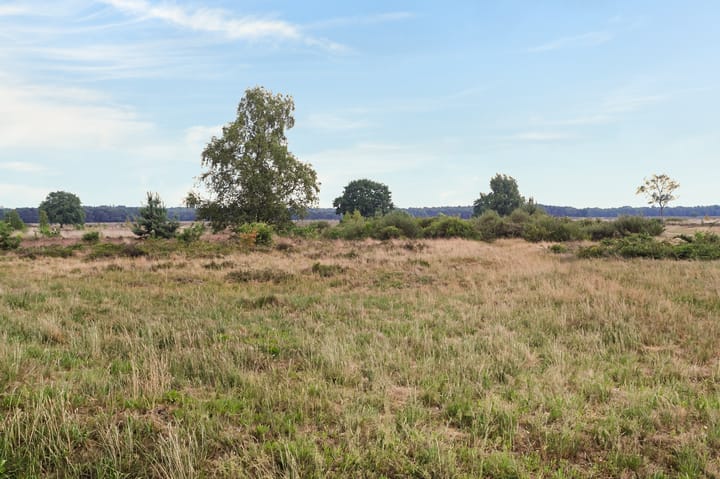 Foto 33 van Lange Heul 778