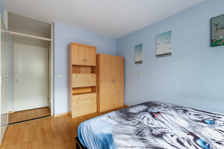 Foto 18 van Havikskruid 30