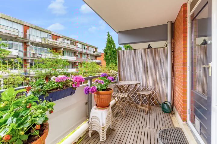 Foto 23 van Havikskruid 30