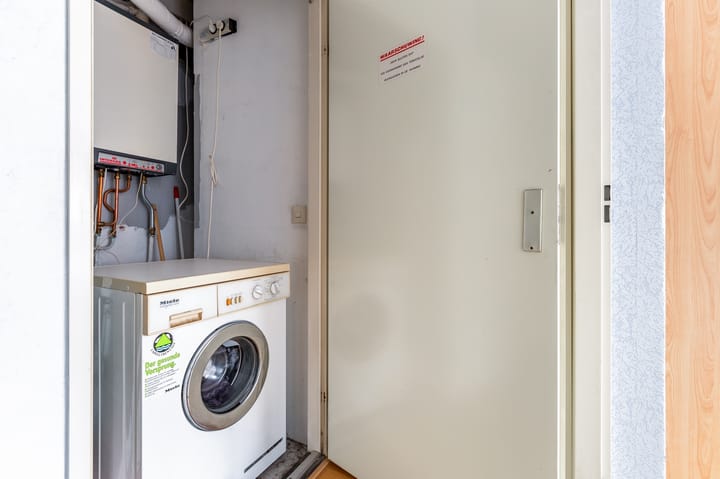 Foto 24 van Havikskruid 30