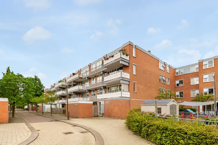 Foto 26 van Havikskruid 30