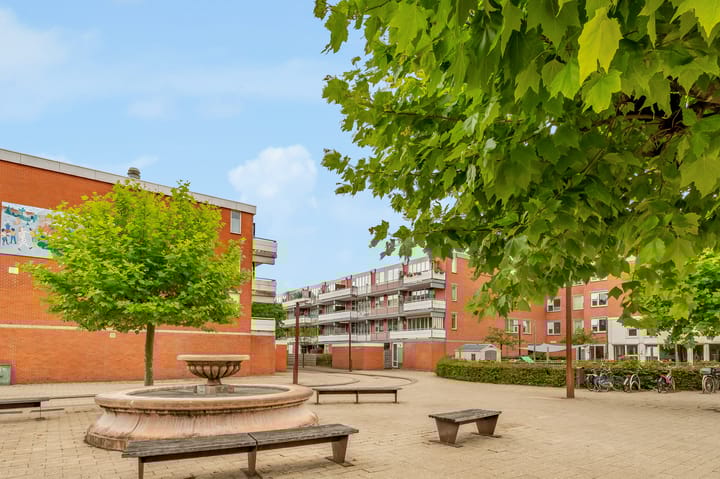 Foto 25 van Havikskruid 30