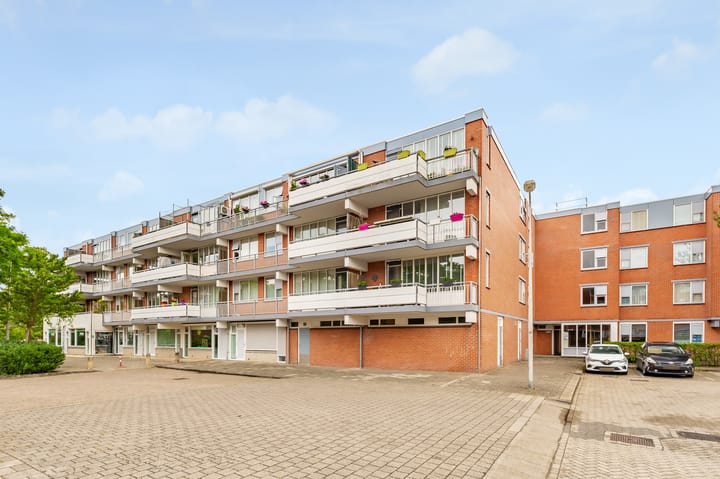 Foto 27 van Havikskruid 30