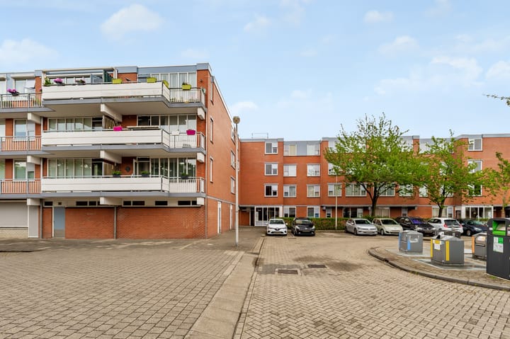 Foto 28 van Havikskruid 30